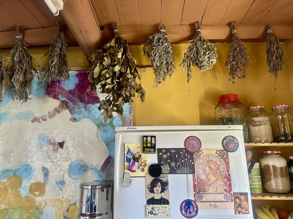 Casa Apapacho 4